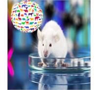  Laboratory Animal Research Equipment